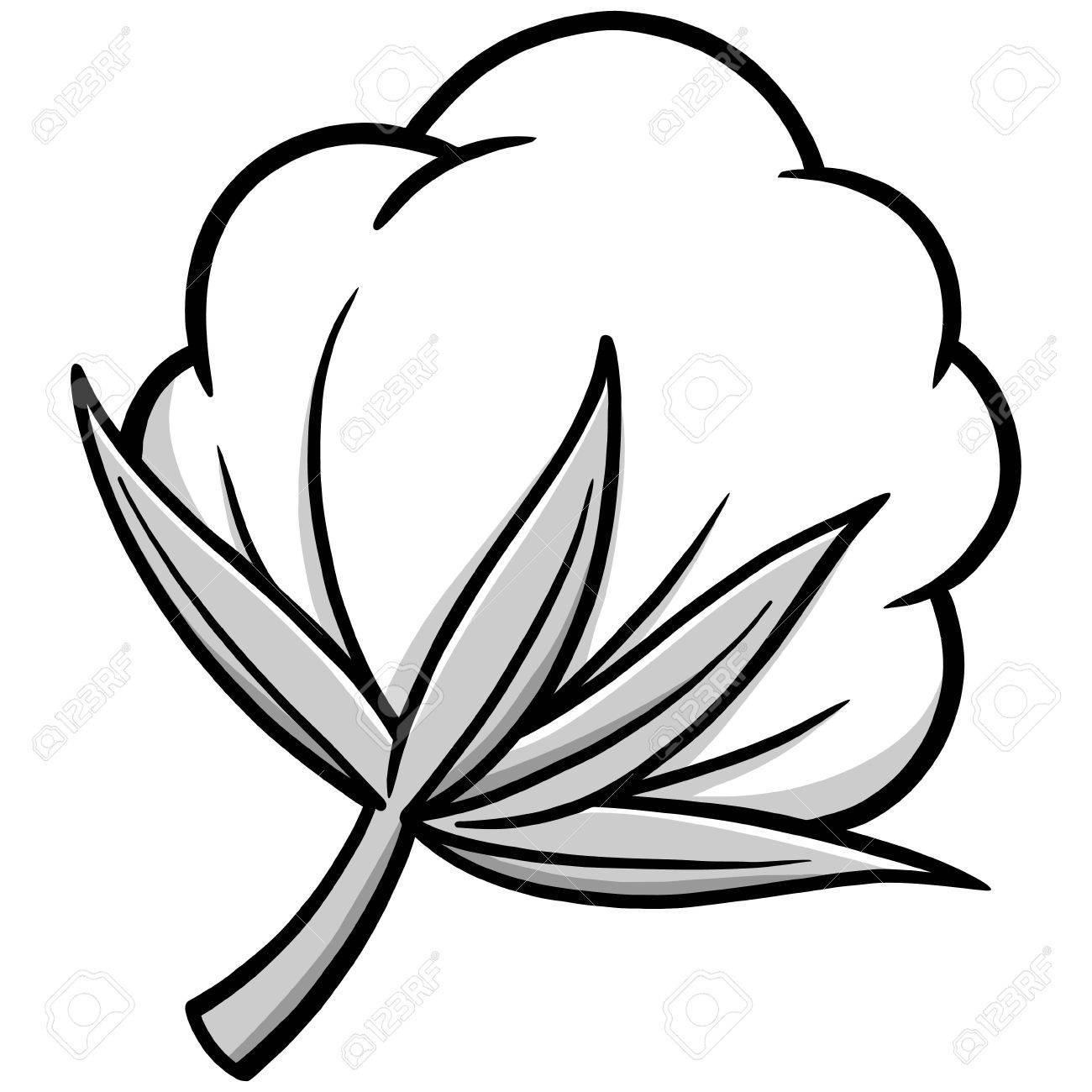 1300x1300 Collection Of Free Cotton Clipart Cotton Plant Amusement