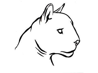 400x300 Cougar Icon