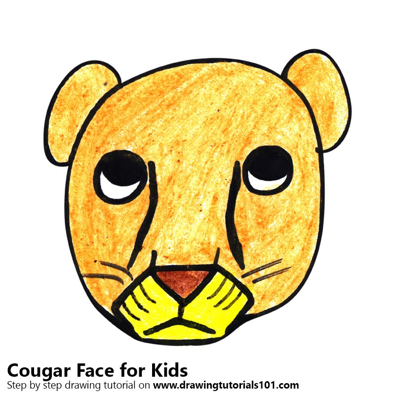800x800 Learn How To Draw A Cougar Face For Kids