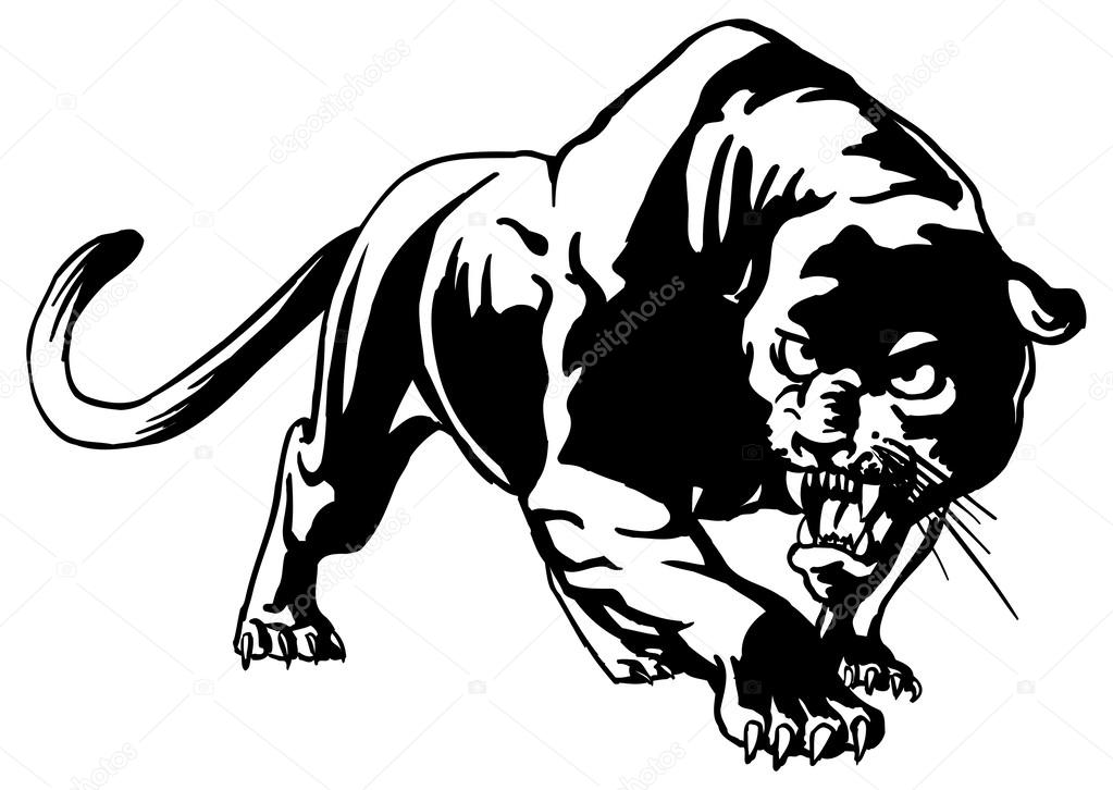 1023x726 Cougar Drawing Vector For Free Download