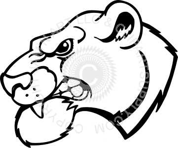 361x300 Collection Of Free Cougar Drawing Angry Download On Ui Ex