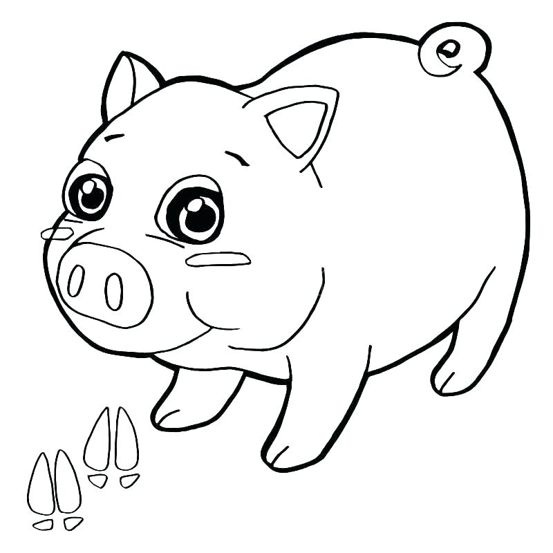 800x800 Collection Of 'cougar Paw Drawing' Download More Than Images