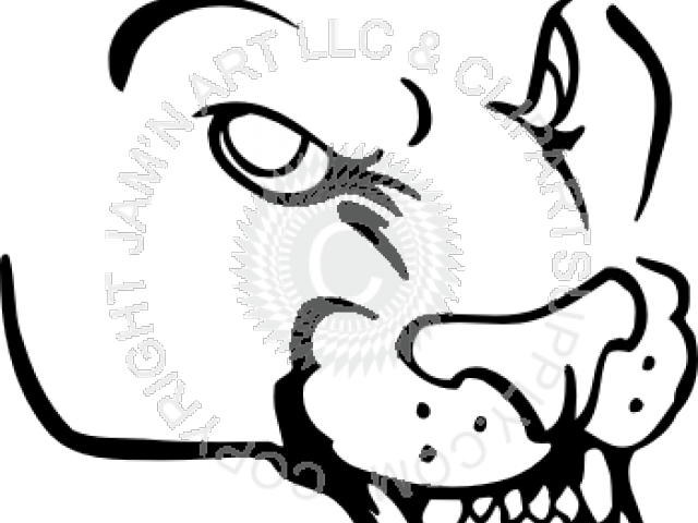 640x480 Collection Of Free Cougar Drawing Puma Face Download On Ui Ex