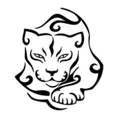 240x240 Cougar Dating A Popular Trend In Modern Times