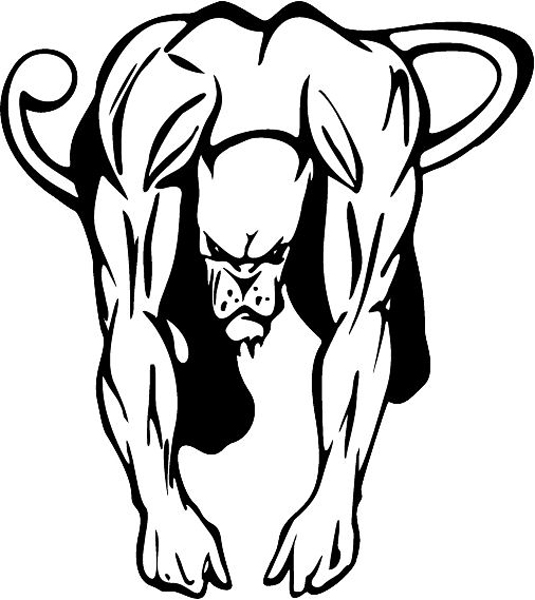 535x600 crouching cougar mascot action sports sticker customize on line