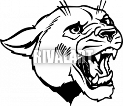 250x216 Cougar Clipart Drawing, Picture