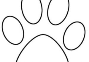 Cougar Paw Drawing 