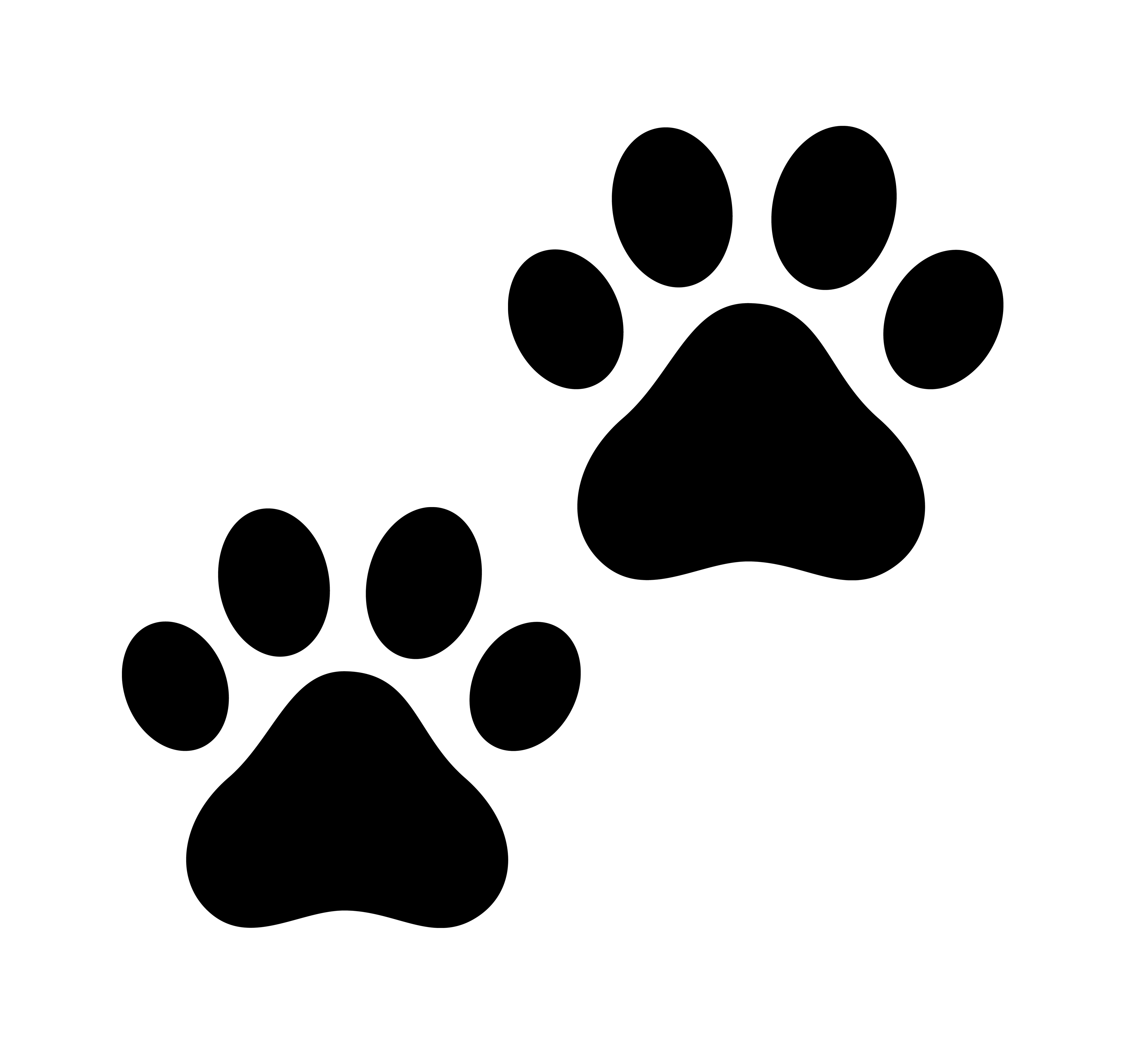 4106x3765 Transparent Paw Drawing Transparent Png Clipart Free Download
