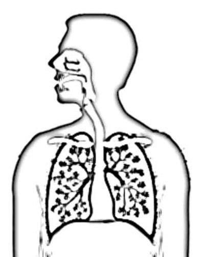 389x500 What Is Whooping Cough