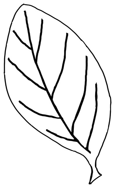 394x640 Simple Leaf Art Black And White