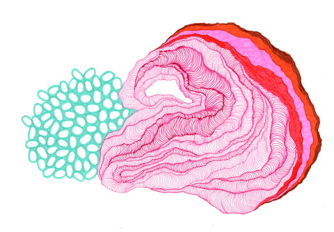 480x334 c o u r t l u r i e d r a w i n g