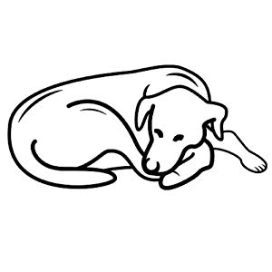 300x300 Huge Collection Of 'dog Bed Drawing' Download More Than Images
