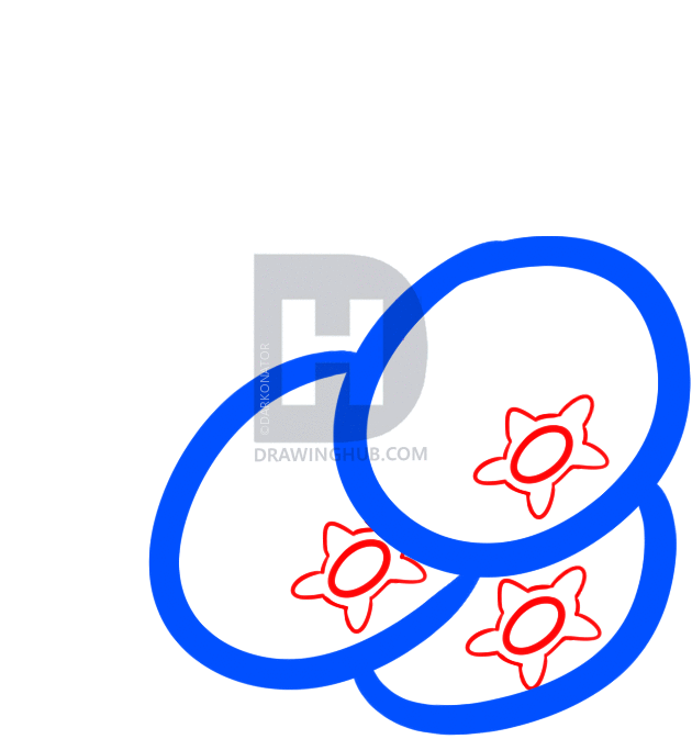 630x673 How To Draw Cranberries, Step