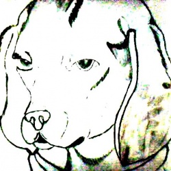 250x250 Covered Bridge Foundmyself