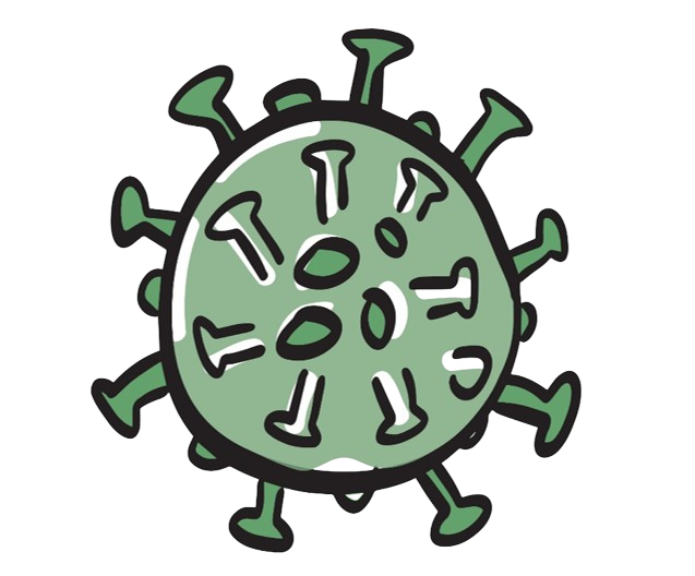 637x528 Covid 19 Coronavirus Clipart