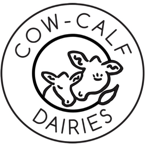 512x512 Cow Calf Dairies