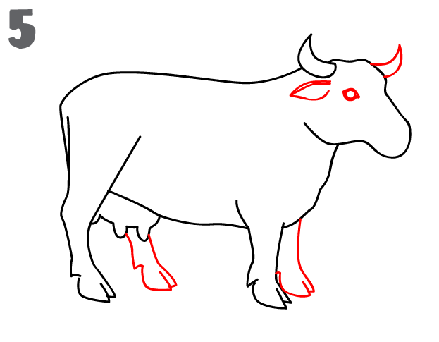 623x485 How To Draw A Cow