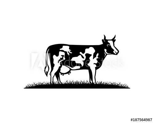 500x400 Vector Black And White Milch Cow On The Grass Illustration Hand