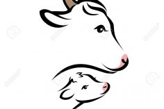 236x157 Cow Drawing Art Simple Cartoon Steps Skull Download I Fertility