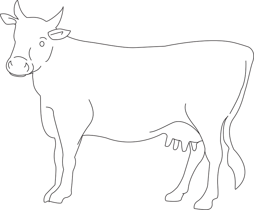 870x720 Dairy Clipart Drawing
