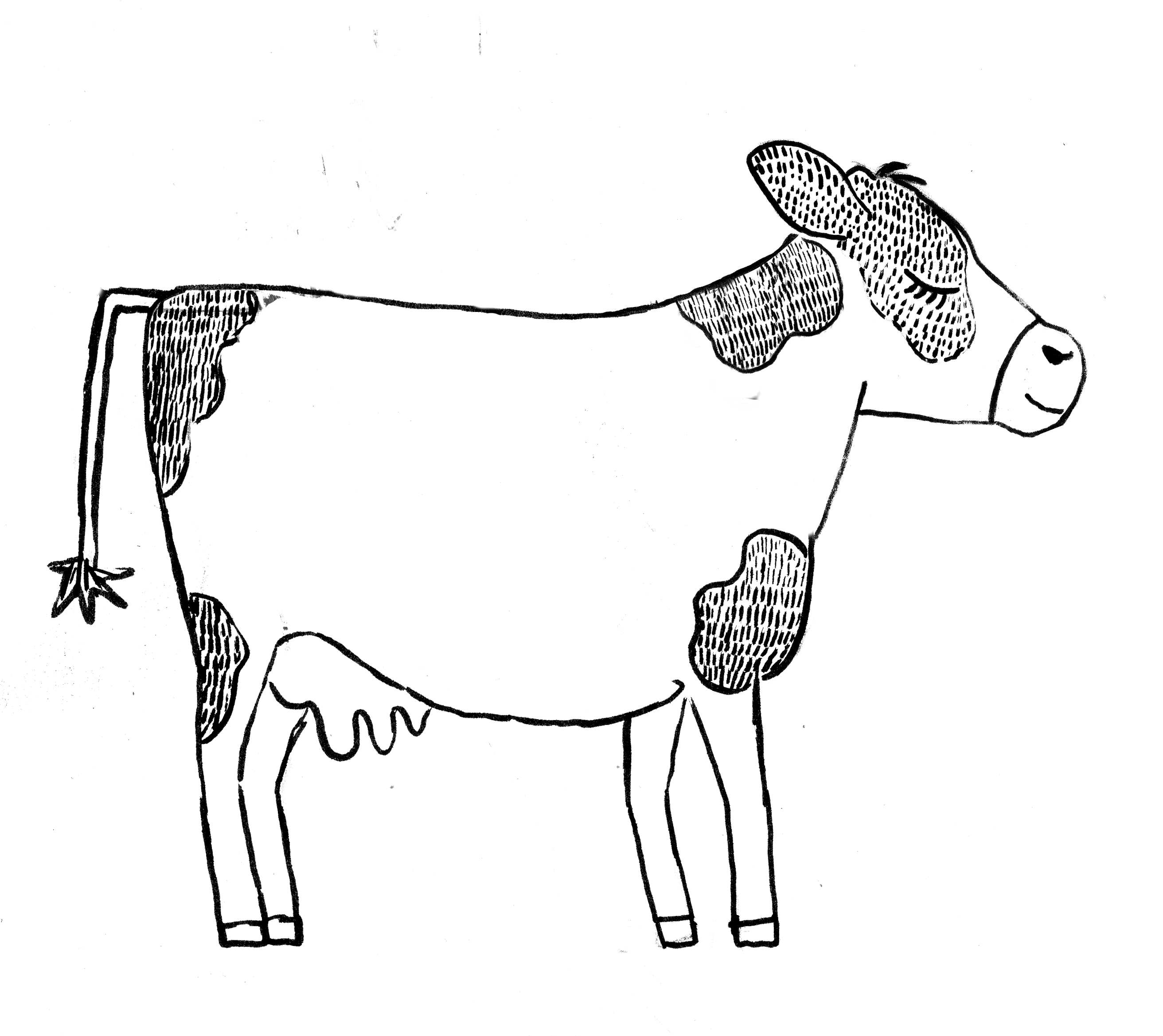 2624x2338 Drawing Cow Dairy Transparent Png Clipart Free Download