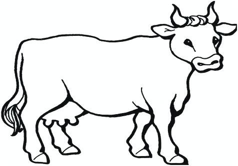 476x333 How To Draw A Cute Cow Step