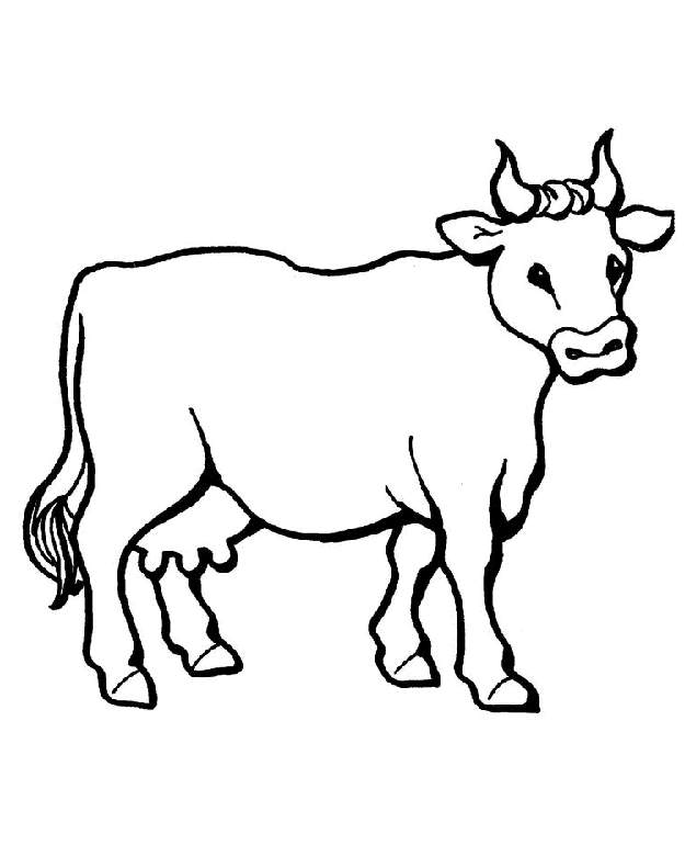 625x780 Huge Collection Of 'cow Drawing Pic' Download More Than Images