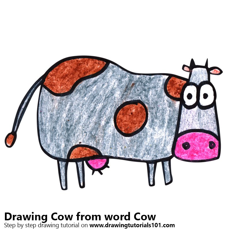 800x800 Learn How To Draw A Cow From Word Cow