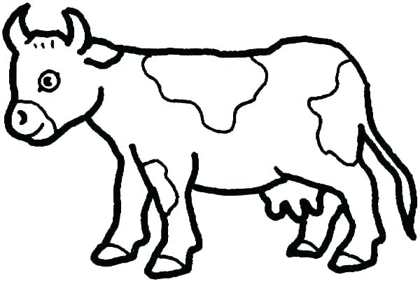 600x402 Draw Cow