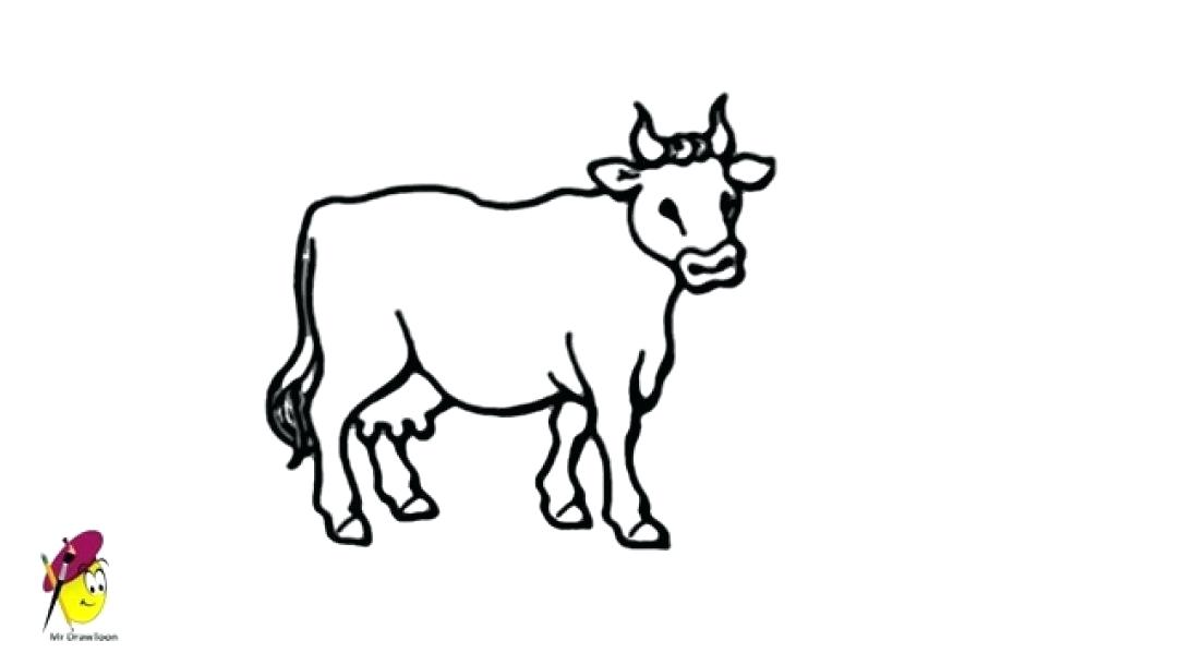 1084x610 Easy To Draw Cartoon Cow How To Draw A Cow Step