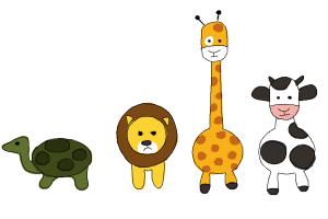 300x200 How To Draw Cow Step