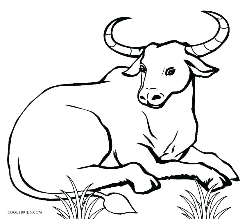 850x754 Kids N Fun Coloring Pages Cow Coloring Pages For Kids Cow