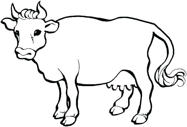 600x410 Coloring Pages For Boys Online Games Adults To Print Cow Download