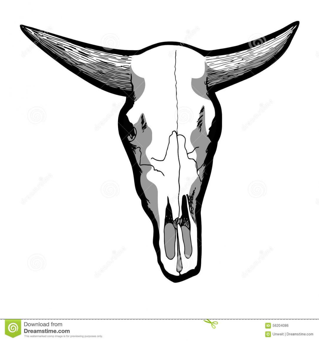 1084x1159 Cow Skull Sketches Drawing Images Step Pencil Designs Ideas