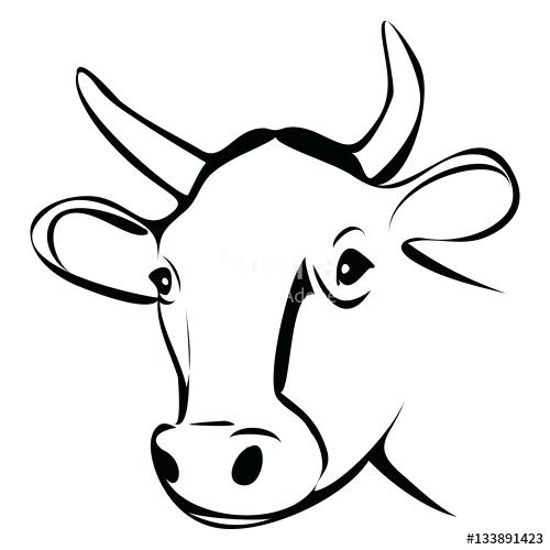 500x500 Outline Of Cow Cow Head Outline Vector