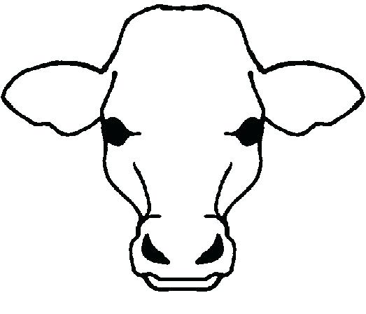523x448 How To Draw A Cow Face