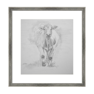 300x300 Cow Pencil Drawing Framed Print