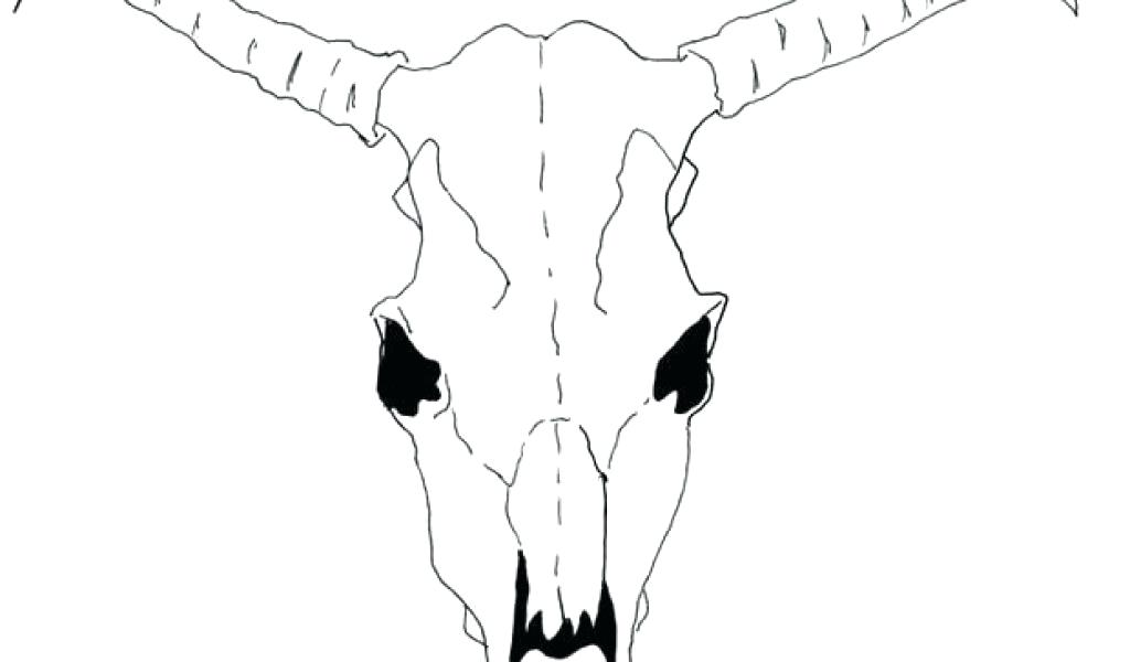 1024x600 Draw A Cow Download