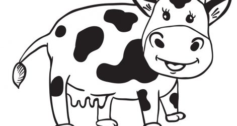 471x250 Drawing A Cow Head Simple Realistic Face I Fertility