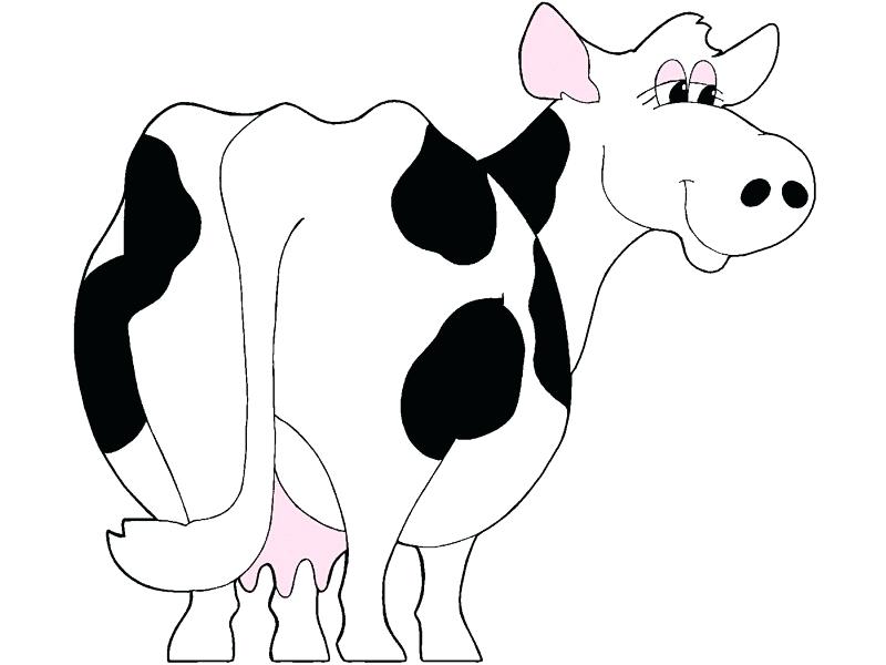 800x600 How To Draw A Cute Cow Step