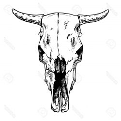 250x250 Basic Cow Face Drawing Jersey Images Side Easy Ajedrezdeen