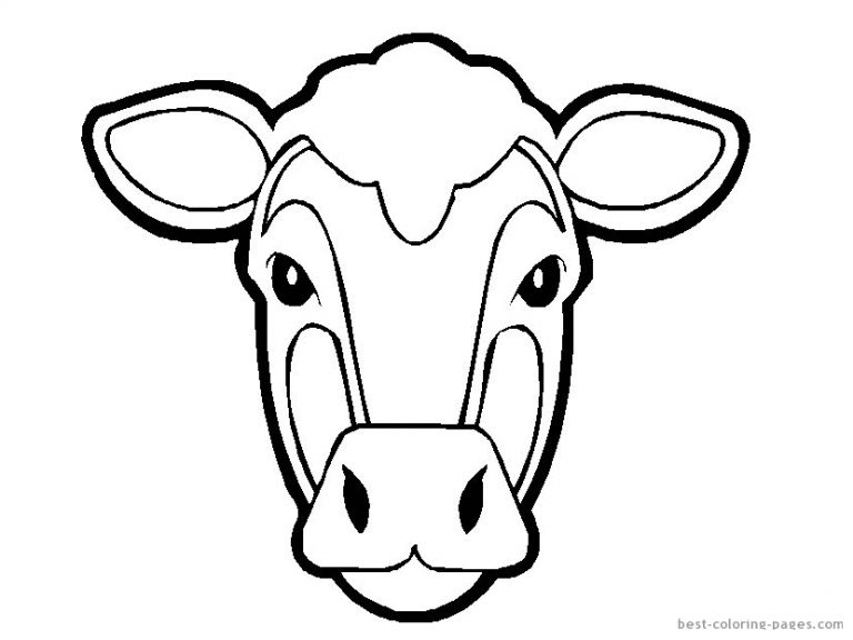 768x576 Cow Face Images Free Cow Face Drawing
