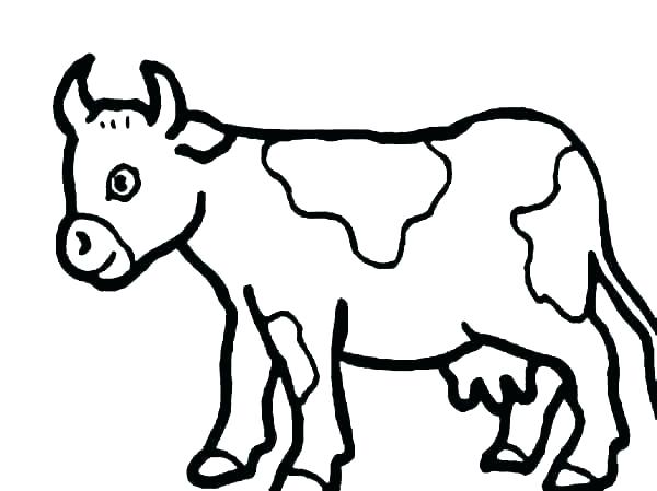 600x449 Easy To Draw Cow