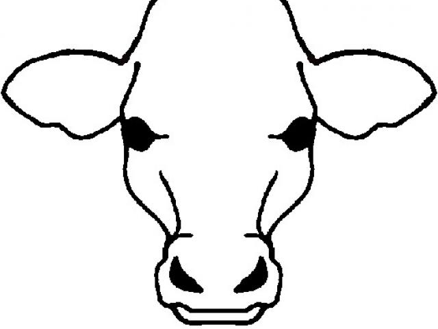 640x480 Cattle Clipart Cow Drawing