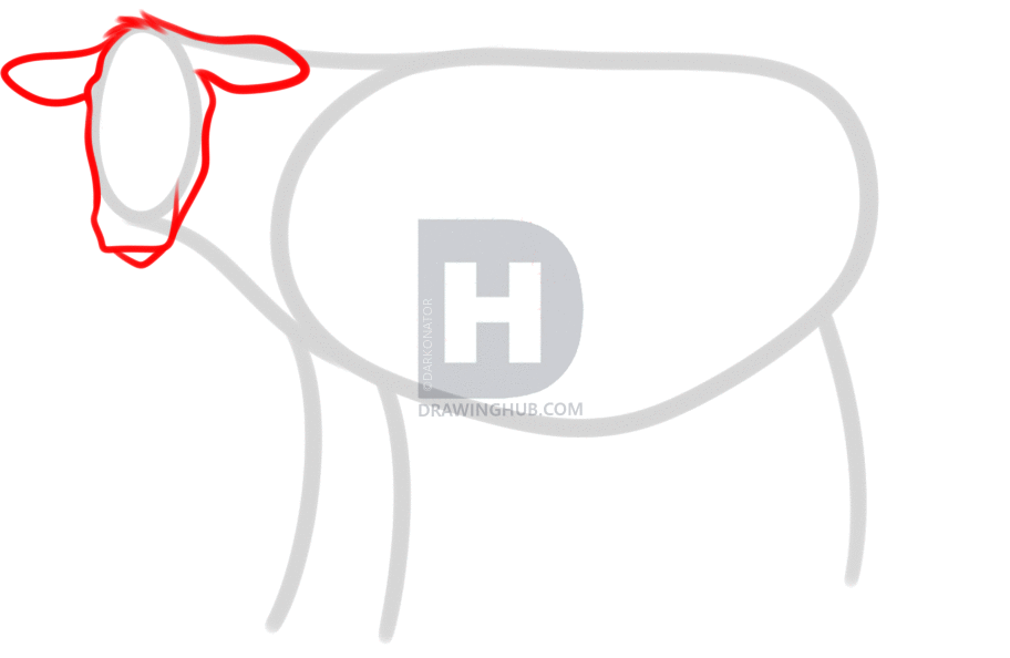 912x594 How To Draw A Cow, Step
