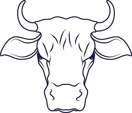 448x384 Cartoon Cow Drawing Zupa