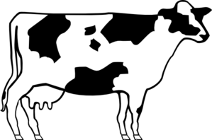 299x198 Collection Of Free Cows Drawing Simple Download On Ui Ex