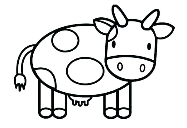 600x412 Cow Drawing Easy Cute