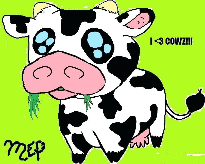 808x647 cute cow drawings cute cow cute drawings of animals panda