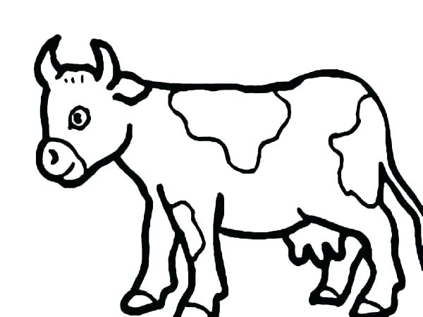 600x449 Easy Cow Drawing Coloring Pages Colouring Cartoon At Free